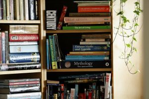 Photo Library shelves